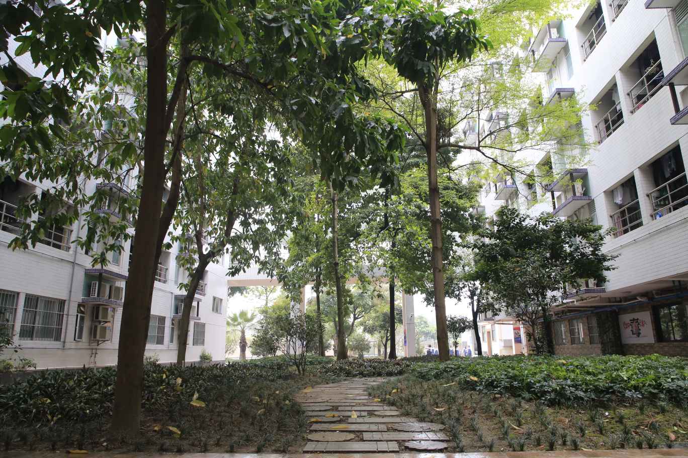 Dormitory Path
